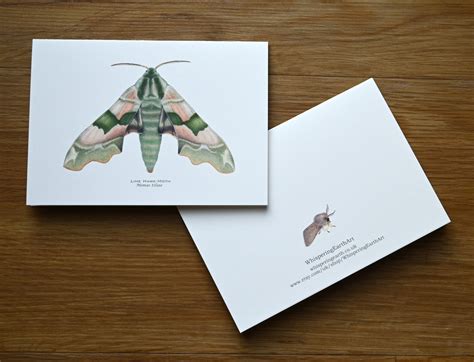 Magical moth card